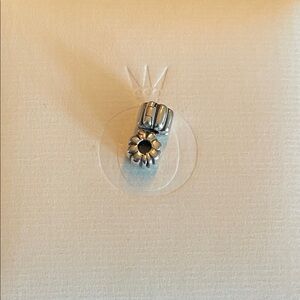 Silver Charms (set of 2)